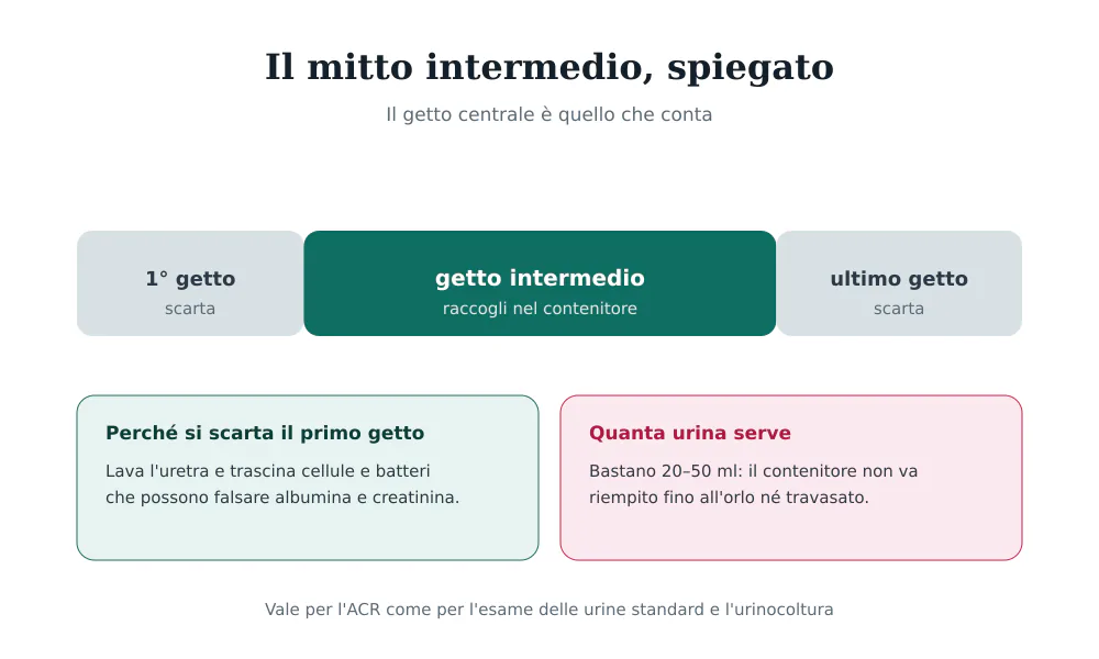 Schema del mitto intermedio: primo getto da scartare, getto centrale da raccogliere, ultimo getto da scartare