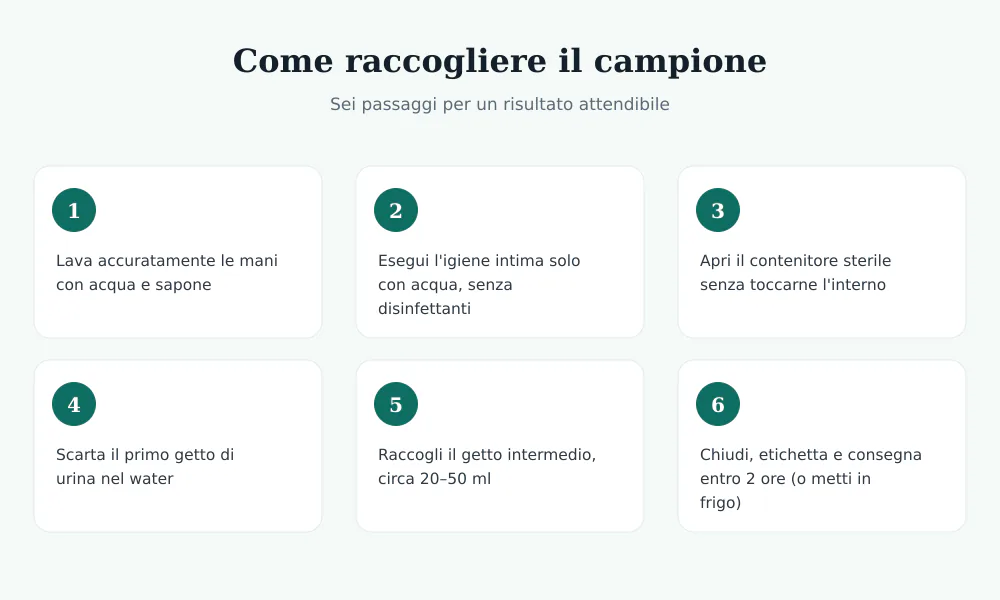 Sei passaggi illustrati per raccogliere correttamente il campione di urina per l'esame ACR