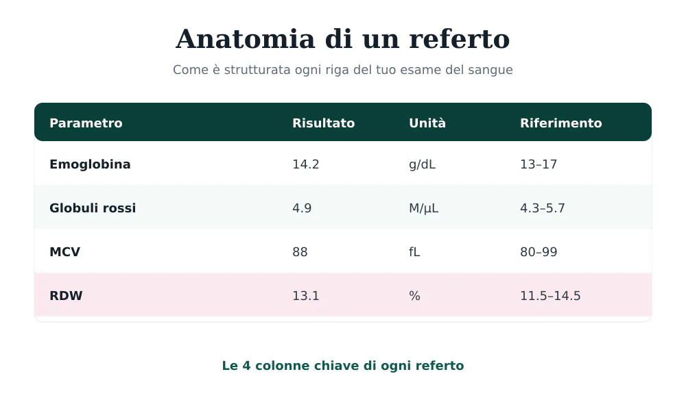 Schema delle parti di un referto delle analisi del sangue: nome del parametro, risultato, unità di misura e intervallo di riferimento