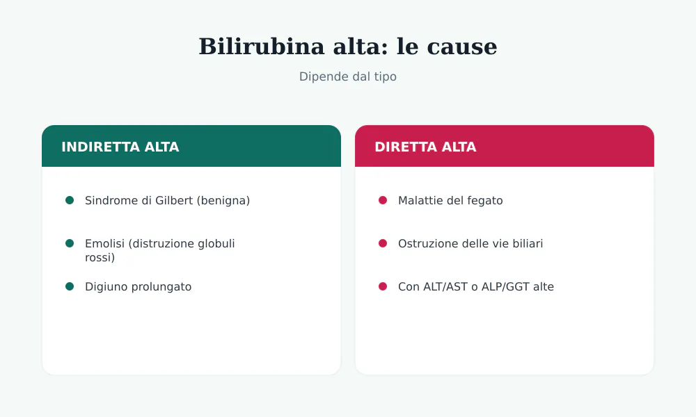 Cause della bilirubina alta: indiretta (Gilbert, emolisi) e diretta (fegato, vie biliari)