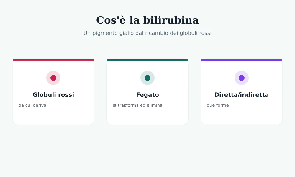 Schema della bilirubina: deriva dai globuli rossi, il fegato la trasforma ed elimina