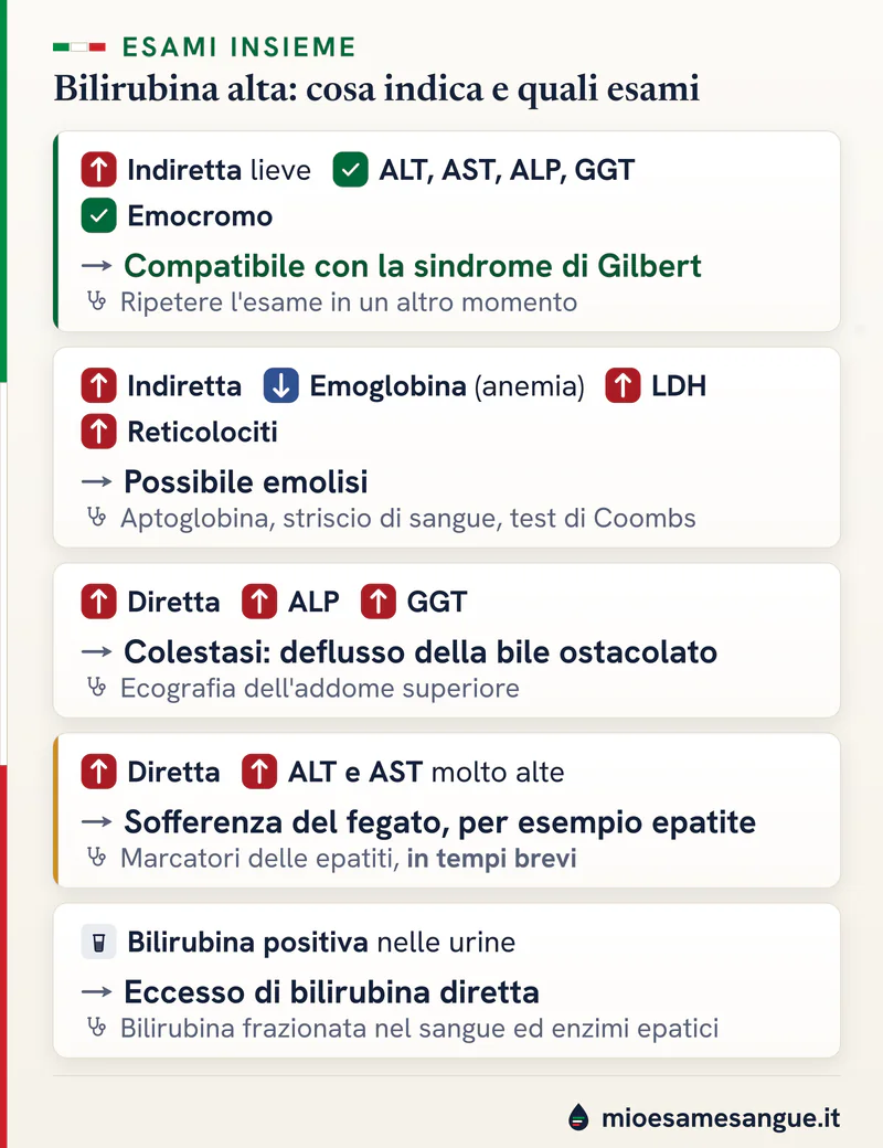 Cinque schede sulla bilirubina alta: frazione ed esami collegati con frecce e spunte, il quadro indicato e gli esami utili