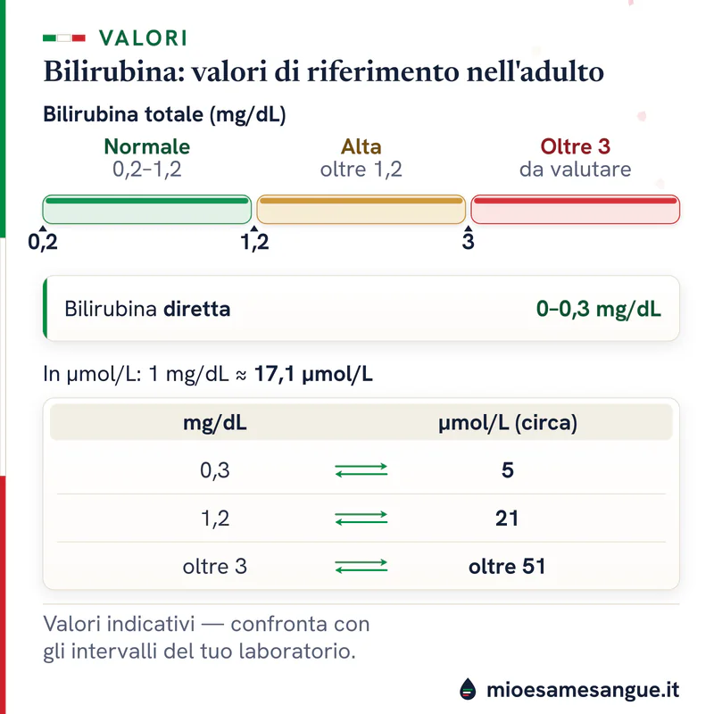 Barra della bilirubina totale normale 0,2–1,2 e alta oltre 1,2 mg/dL, diretta fino a 0,3 e tabella di conversione in µmol/L