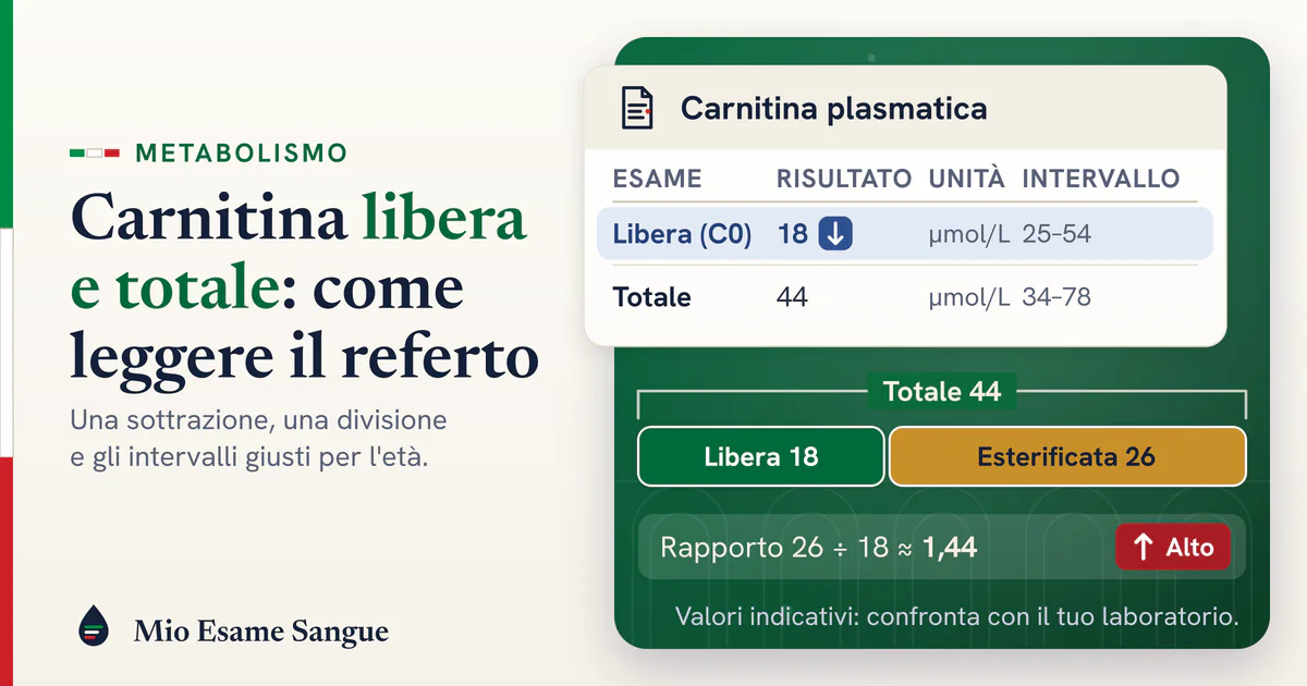 Referto della carnitina con libera 18 bassa e totale 44 nella norma, barra divisa in due quote e rapporto 1,44 segnato alto