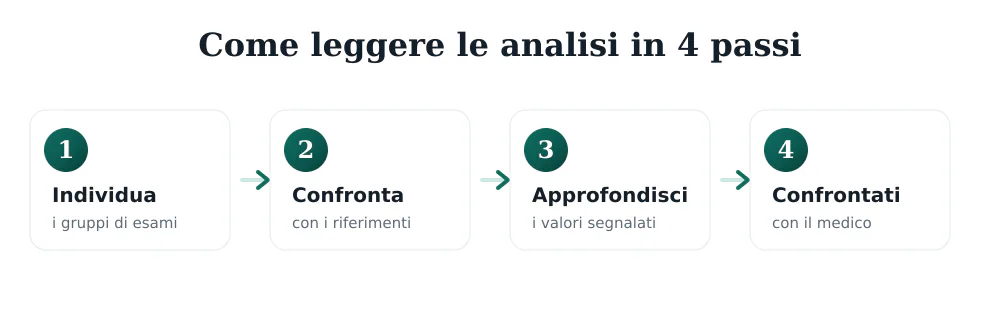 Infografica del processo per leggere le analisi del sangue: dalla prescrizione al confronto con i valori di riferimento fino al consulto medico