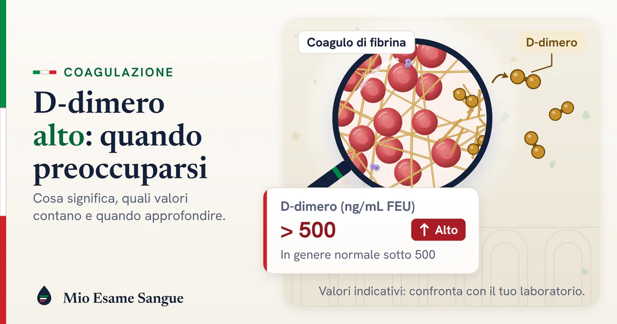 Lente su un coagulo di fibrina con globuli rossi intrappolati, frammenti di D-dimero che si staccano e scheda del valore alto