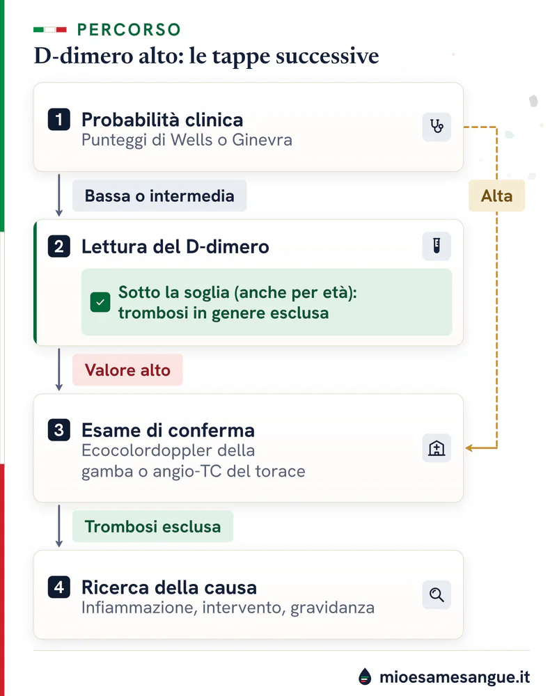 Quattro tappe dopo un D-dimero alto, dalla probabilità clinica alla causa, e corsia ocra «Alta» che va dritta alla conferma
