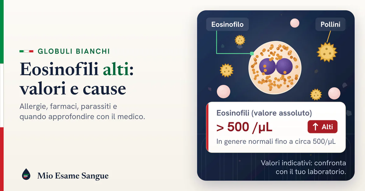 Eosinofilo con nucleo a due lobi e granuli arancioni tra granuli di polline, con la scheda degli eosinofili oltre 500/µL