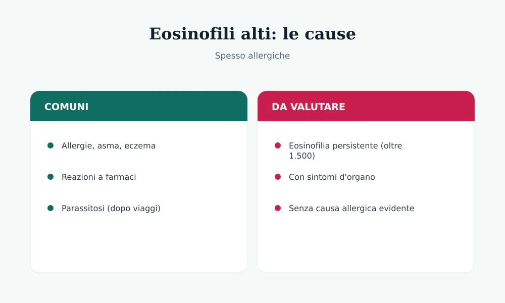 Cause degli eosinofili alti: allergie, asma, eczema, farmaci, parassitosi