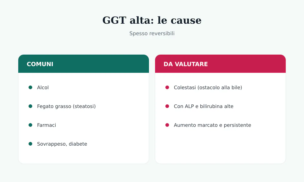 Cause della GGT alta: alcol, fegato grasso, farmaci, colestasi