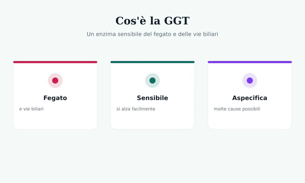 Schema della GGT, enzima del fegato e delle vie biliari