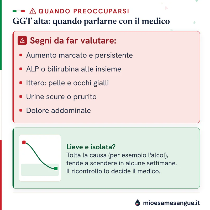 Riquadro rosso con i segnali della GGT alta da valutare e pannello verde con una curva che scende in alcune settimane