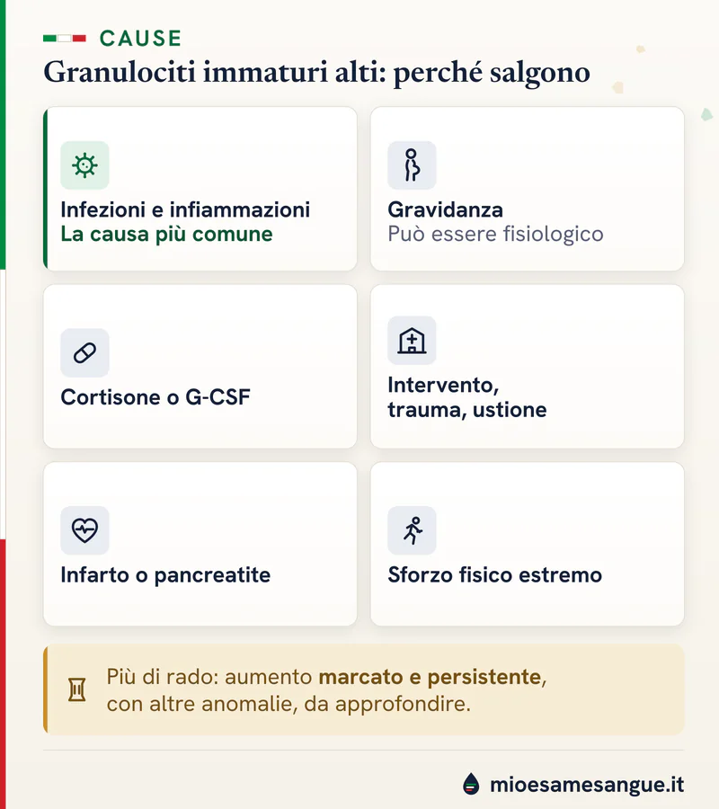 Sei piastrelle sulle cause dei granulociti immaturi alti: infezioni, gravidanza, cortisone, intervento, infarto, sforzo