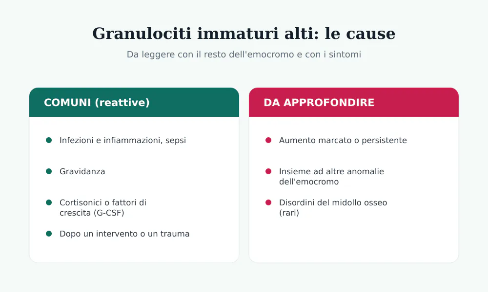 Cause dei granulociti immaturi alti: comuni reattive (infezioni, sepsi, gravidanza, cortisonici, post-operatorio) e situazioni da approfondire