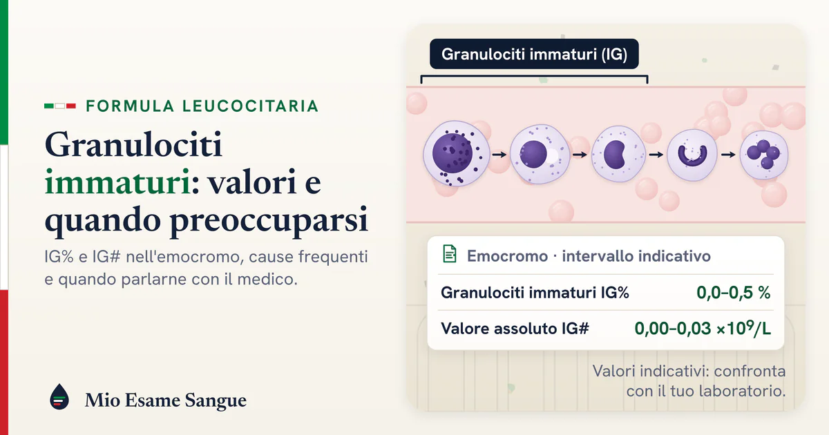 Catena di granulociti immaturi dal promielocita al neutrofilo e righe IG% 0,0–0,5 % e IG# del referto