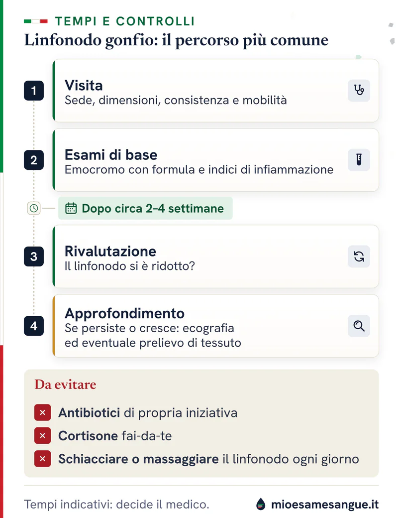Quattro passi per un linfonodo gonfio con il controllo dopo 2–4 settimane e tre errori da evitare segnati da una croce