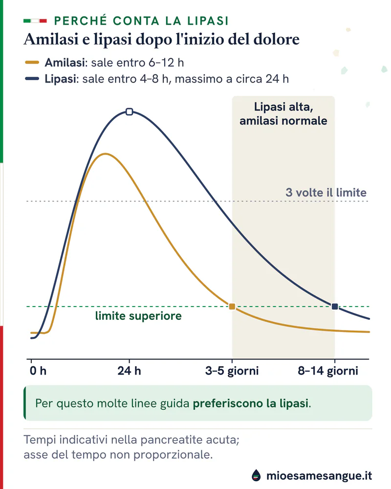 Curve di amilasi e lipasi dopo l'inizio del dolore: l'amilasi rientra in 3–5 giorni, la lipasi resta alta fino a 8–14 giorni