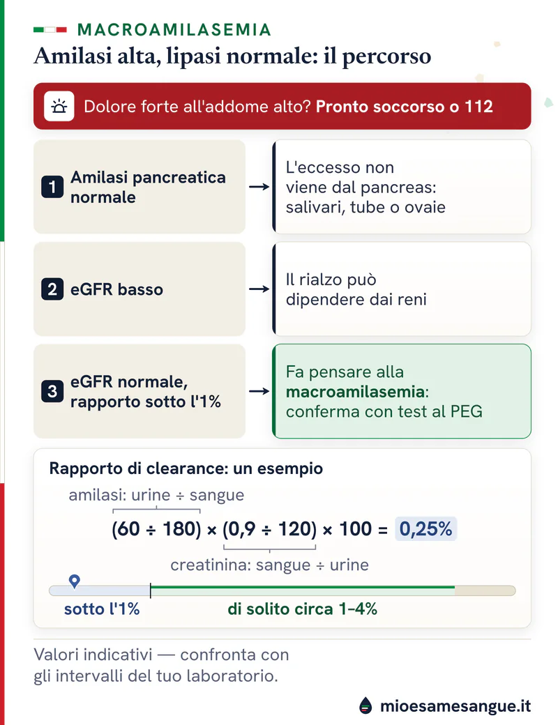 Percorso per l'amilasi alta con lipasi normale: urgenza, amilasi pancreatica, eGFR, urine e calcolo del rapporto allo 0,25%