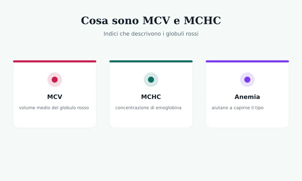 Schema di MCV e MCHC: MCV è il volume medio del globulo rosso, MCHC la concentrazione di emoglobina