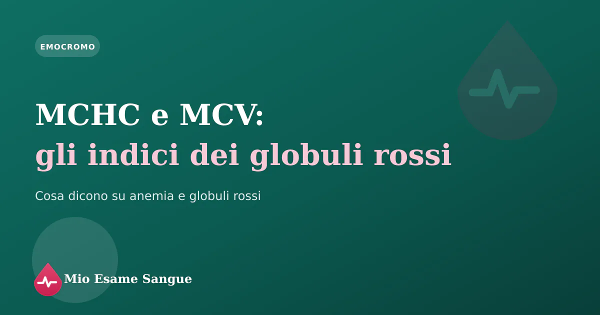 Globuli rossi rappresentati accanto a un referto dell'emocromo con gli indici MCV e MCHC