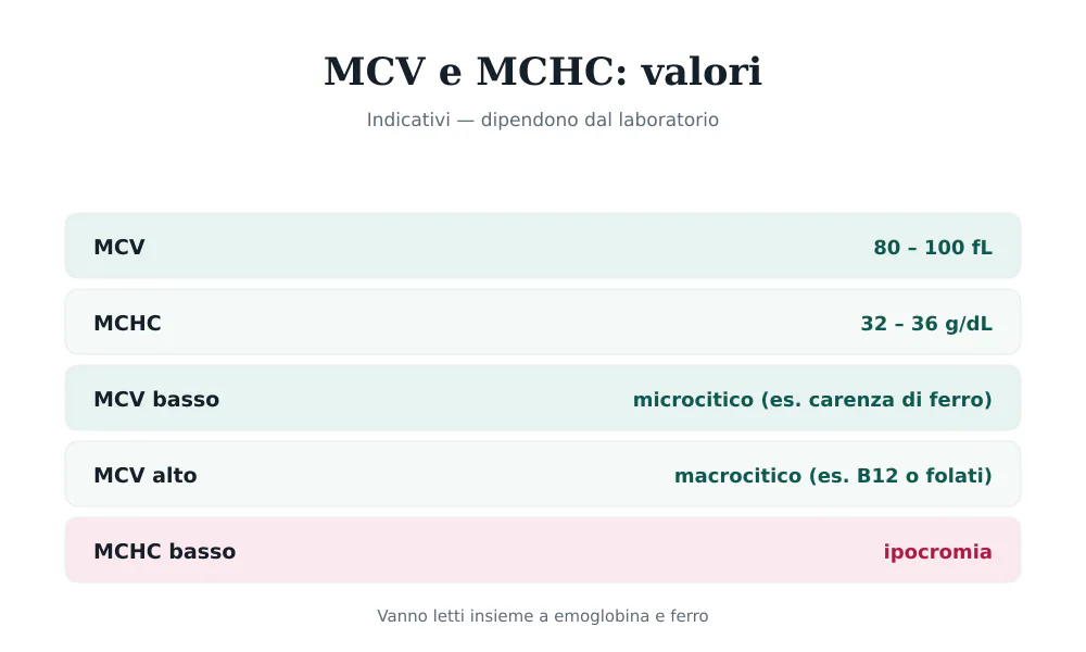 Tabella dei valori di MCV 80-100 fL e MCHC 32-36 g/dL, con MCV basso microcitico e MCV alto macrocitico