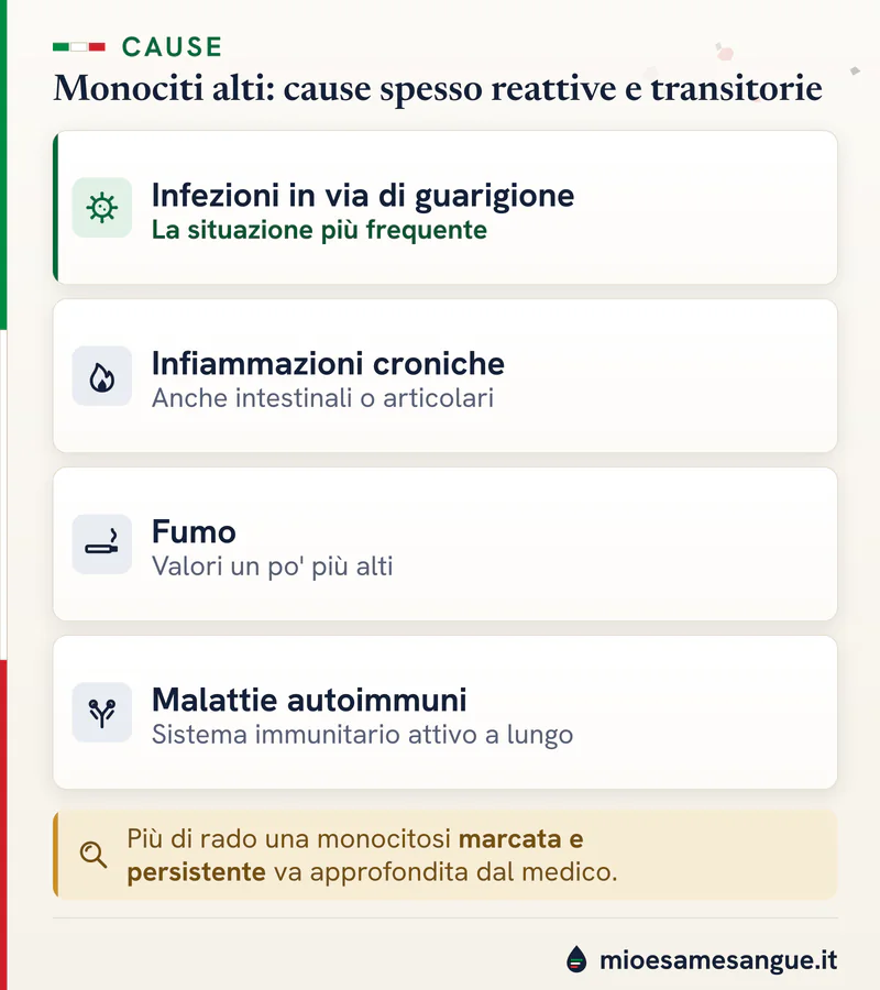 Quattro schede sulle cause dei monociti alti: infezioni in guarigione, infiammazioni croniche, fumo e malattie autoimmuni