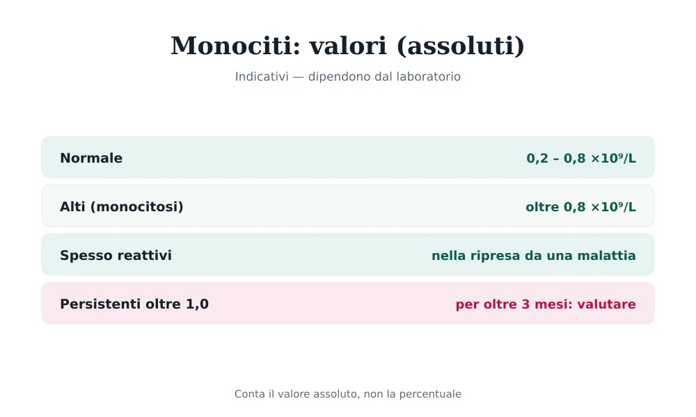 Tabella dei valori dei monociti assoluti: normale 0,2-0,8, monocitosi oltre 0,8