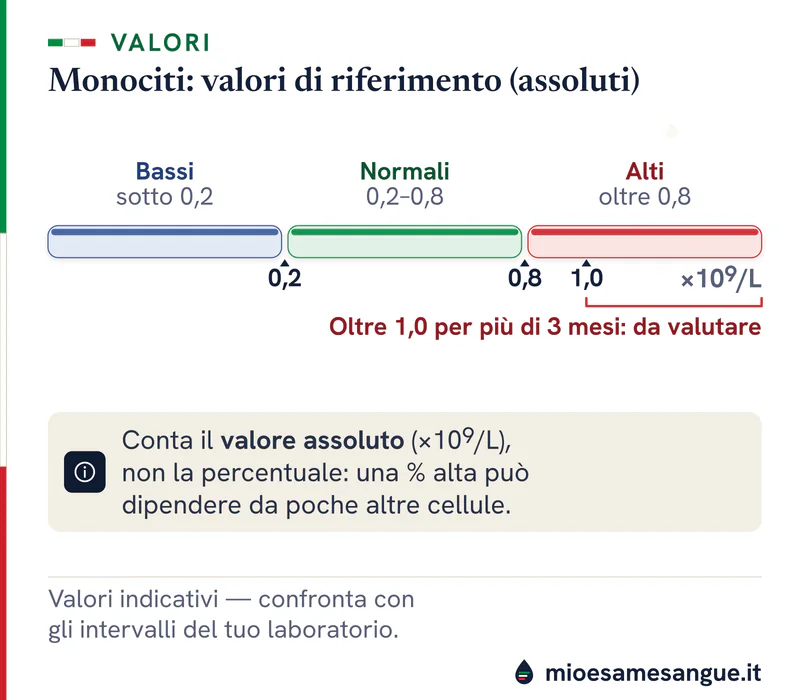 Barra dei monociti con zone bassi, normali 0,2–0,8 e alti oltre 0,8 ×10⁹/L, e la parentesi oltre 1,0 per più di 3 mesi