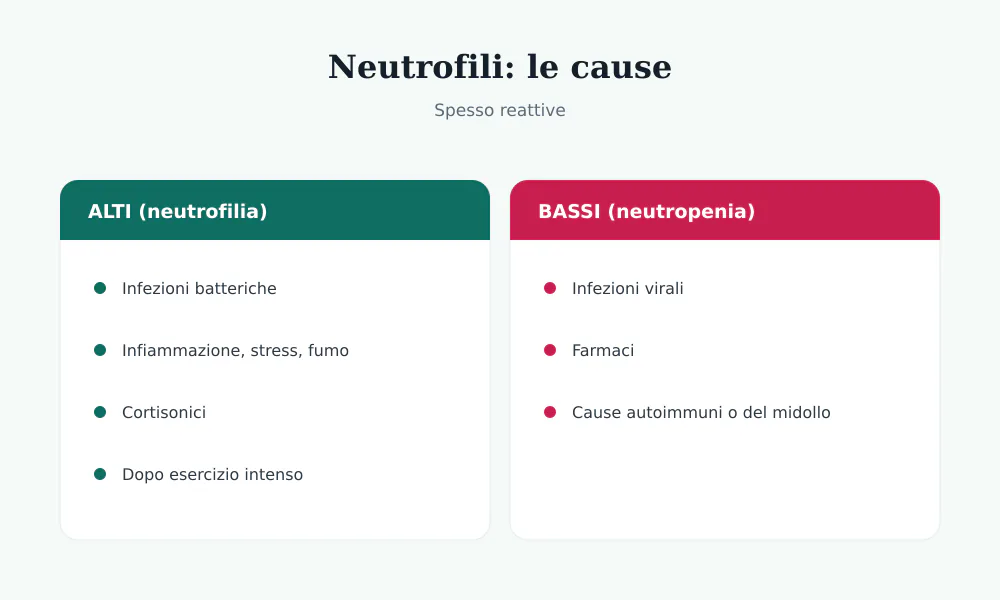 Cause dei neutrofili alti (infezioni batteriche, stress) e bassi (virus, farmaci)