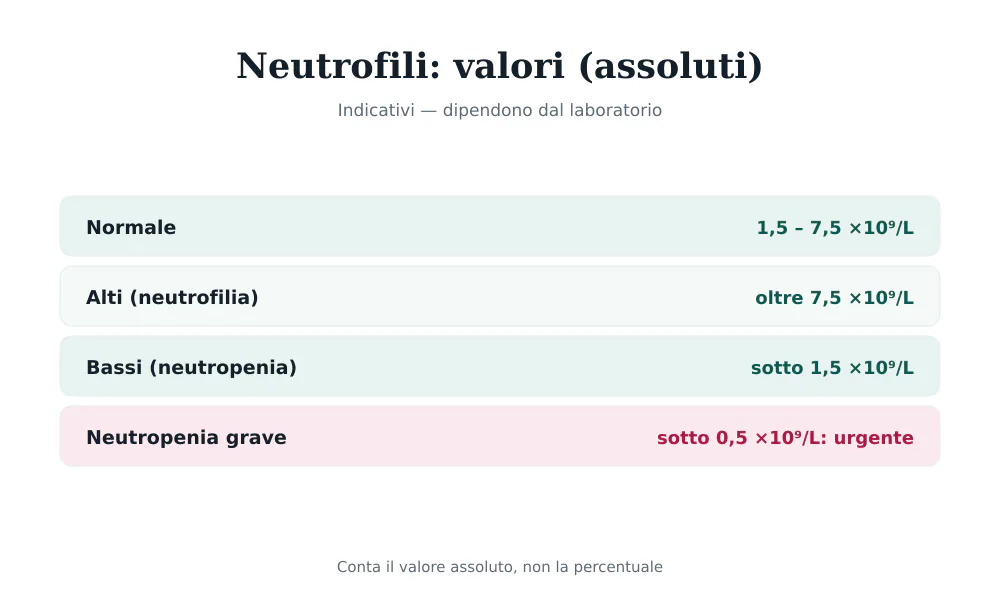 Tabella dei valori dei neutrofili assoluti: normale 1,5-7,5, neutropenia sotto 1,5