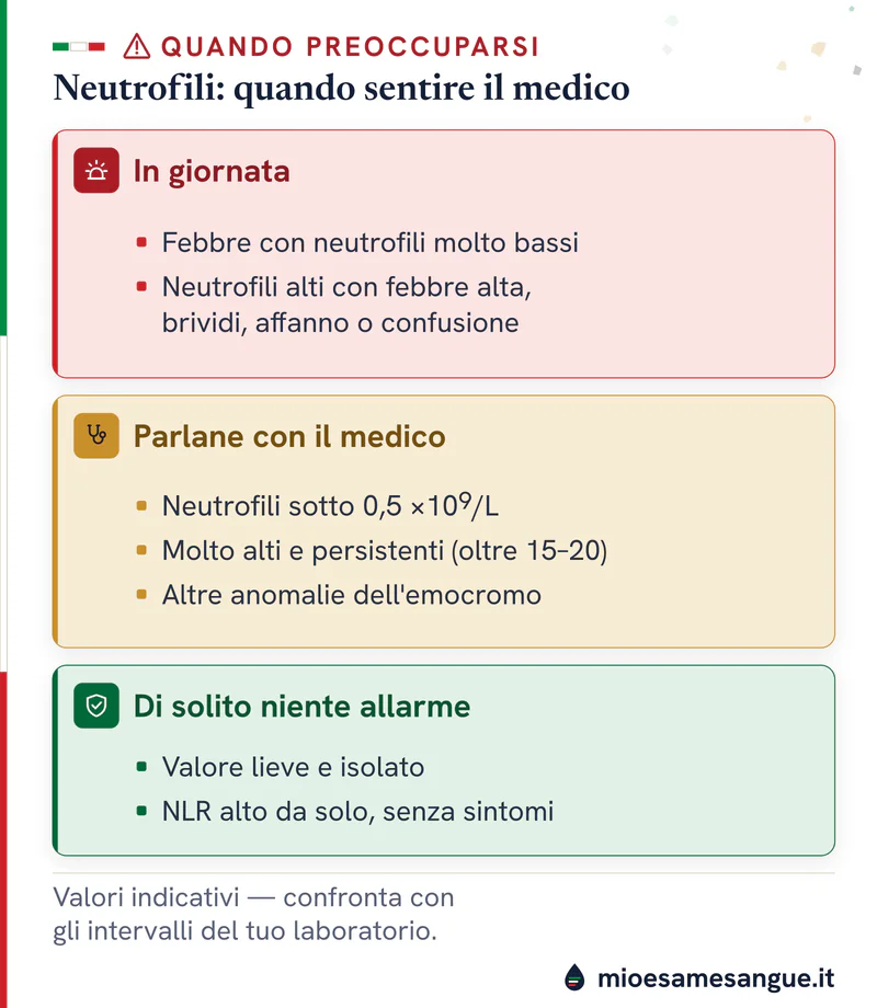 Tre riquadri sui neutrofili: in giornata con febbre e valori molto bassi, dal medico sotto 0,5, niente allarme se lievi