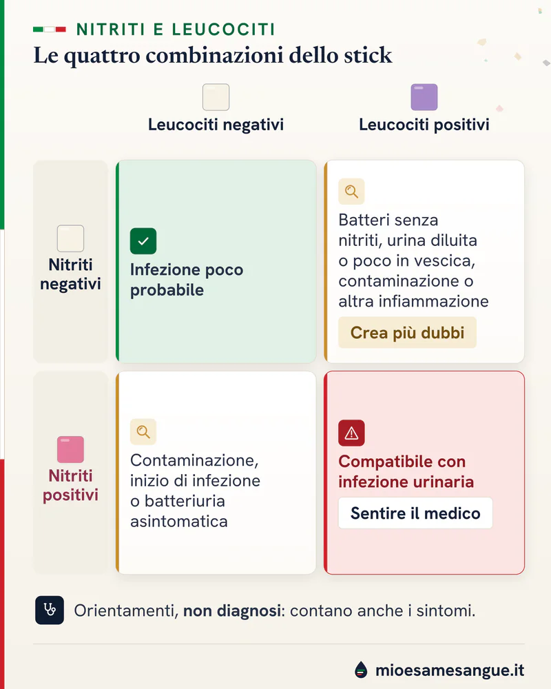 Griglia due per due di nitriti e leucociti negativi o positivi con la lettura di ciascuna combinazione dello stick urine