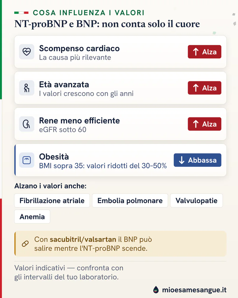 Schede con frecce sui fattori che alzano NT-proBNP e BNP, come scompenso, età e rene, e sull'obesità che li abbassa