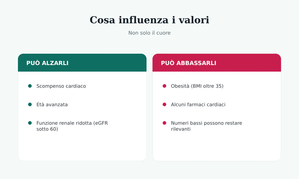 Fattori che influenzano NT-proBNP e BNP: li alzano scompenso, età e rene ridotto; li abbassa l'obesità