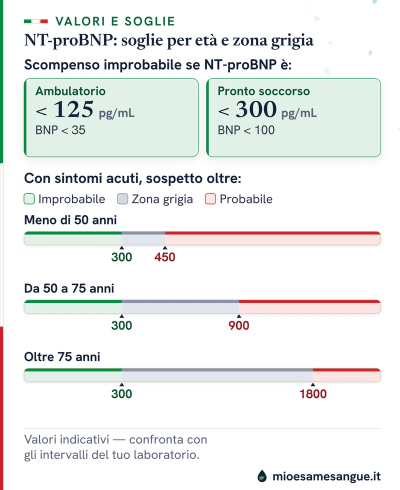 Barre delle soglie di NT-proBNP per età: verde sotto 300, zona grigia e sospetto oltre 450, 900 e 1800 pg/mL