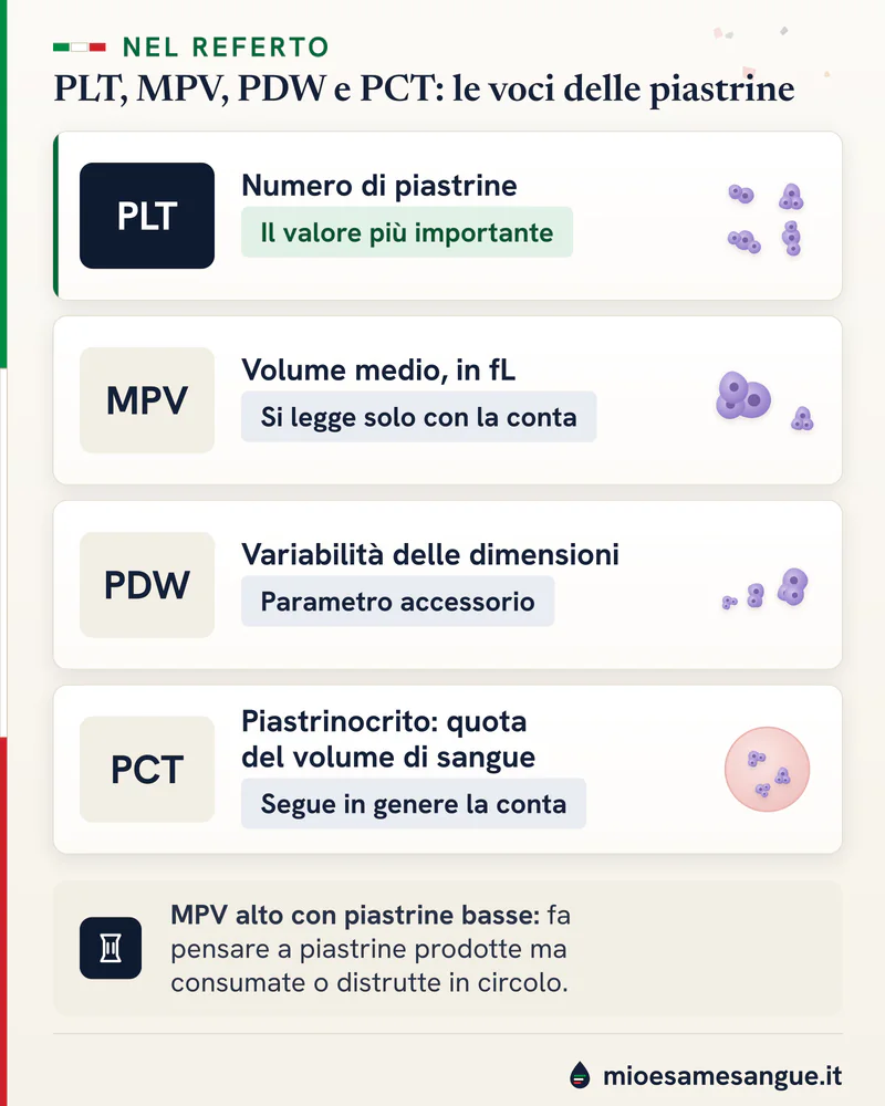 Quattro righe di referto: PLT numero di piastrine, MPV volume medio in fL, PDW variabilità e PCT piastrinocrito, con note