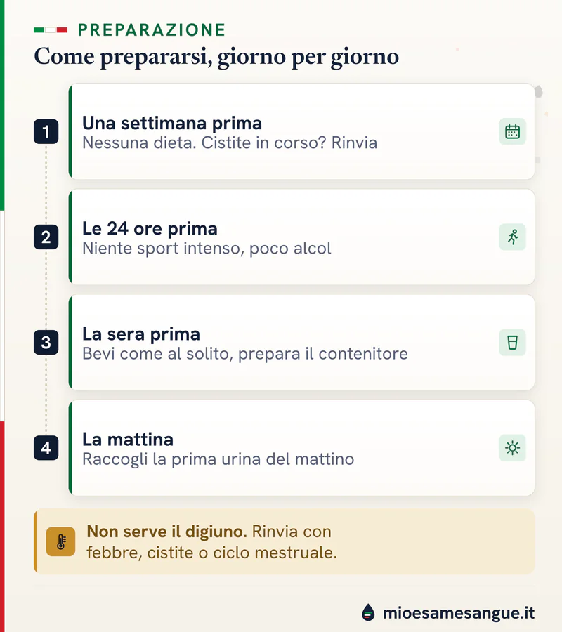 Linea del tempo verticale in quattro tappe per prepararsi al rapporto albumina/creatinina, fino alla raccolta del mattino