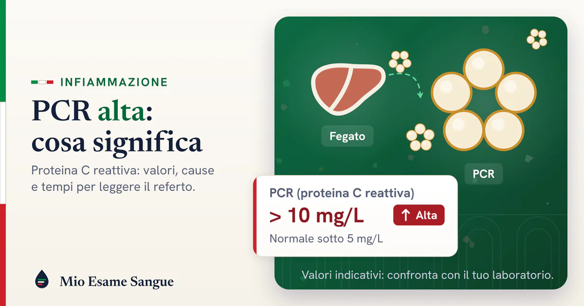 Fegato che libera molecole di PCR ad anello e scheda della proteina C reattiva oltre 10 mg/L segnata alta