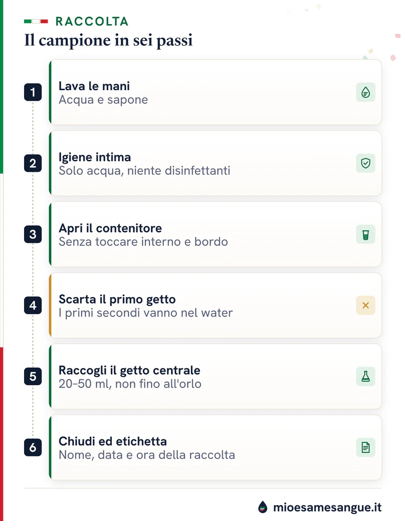 Sei passi numerati con icone per raccogliere l'urina dell'esame albumina/creatinina nel contenitore sterile