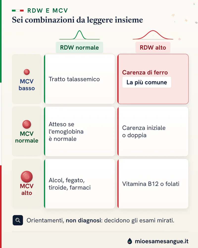 Griglia di RDW normale o alto per MCV basso, normale e alto con le ipotesi: tratto talassemico, carenza di ferro, B12, alcol