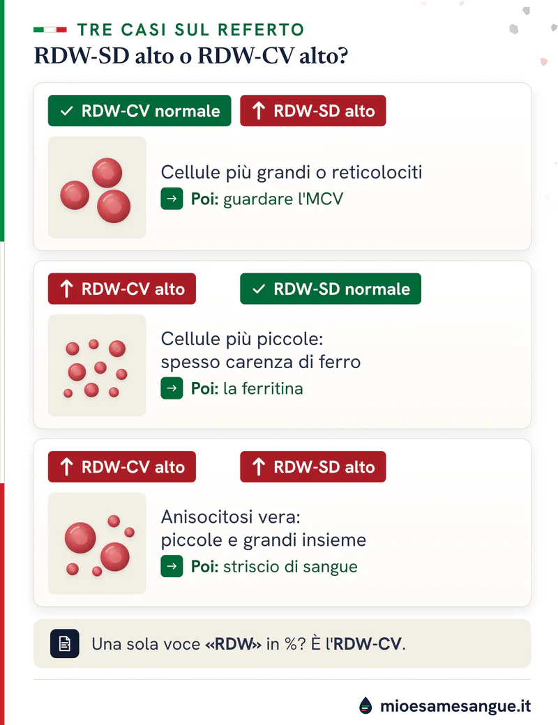 Tre schede con RDW-SD alto, RDW-CV alto o entrambi alti, globuli rossi disegnati per taglia e l'esame da fare dopo