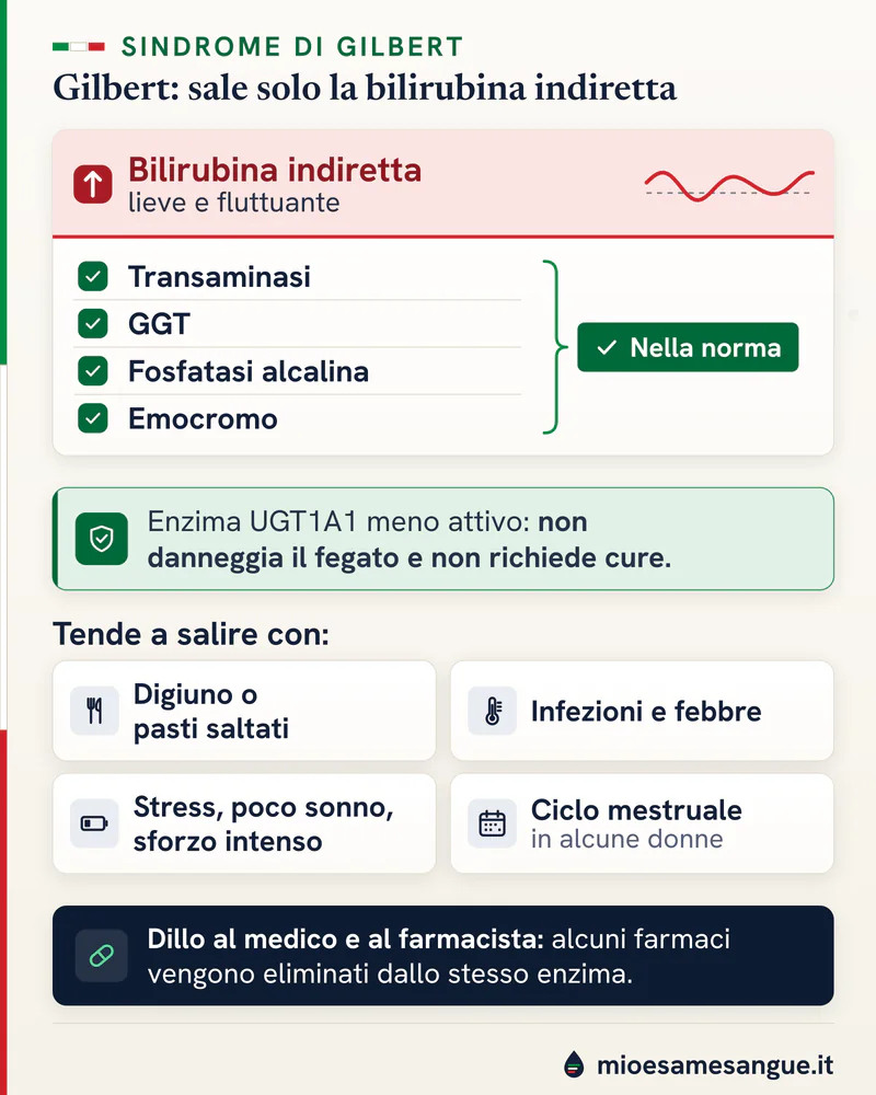 Sindrome di Gilbert: bilirubina indiretta alta e fluttuante, resto del referto nella norma e i fattori che la fanno salire