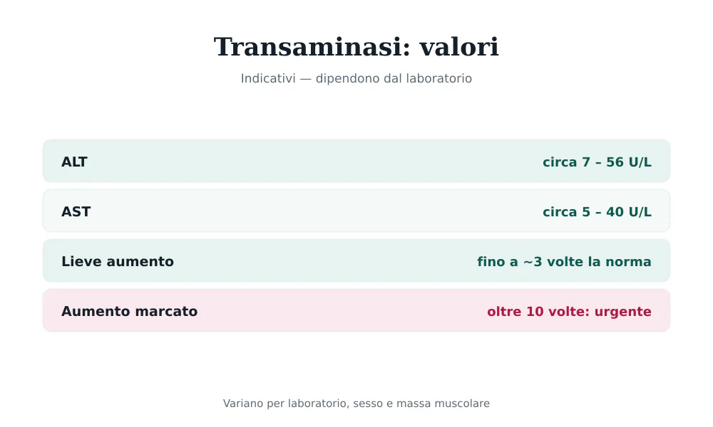 Tabella dei valori delle transaminasi: ALT circa 7-56 U/L, AST circa 5-40 U/L