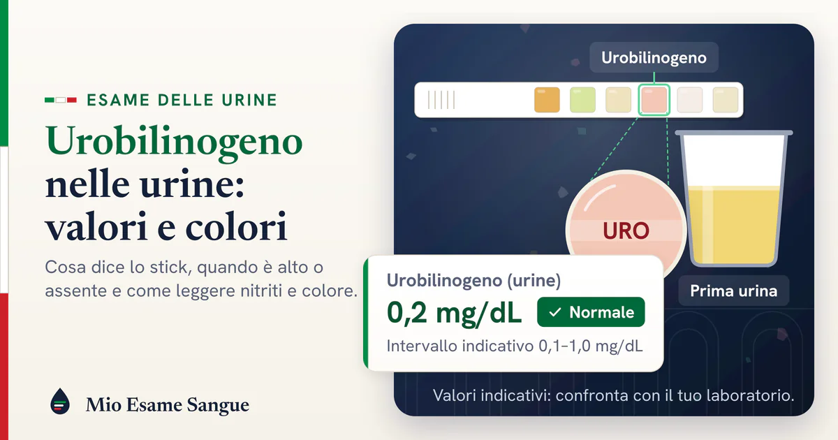 Urobilinogeno nelle urine: come si legge sullo stick Striscia reattiva con il tampone dell'urobilinogeno sotto la lente, bicchiere di urina e scheda da 0,2 mg/dL nella norma