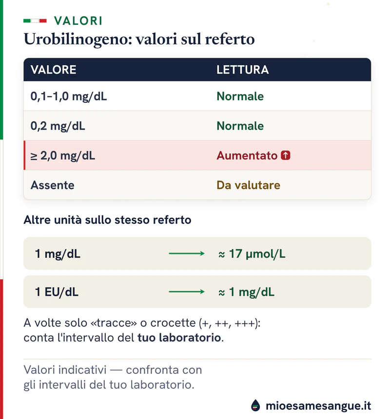 Tabella dell'urobilinogeno: 0,1–1,0 e 0,2 mg/dL normali, da 2,0 mg/dL aumentato, assente da valutare; mg/dL in µmol/L