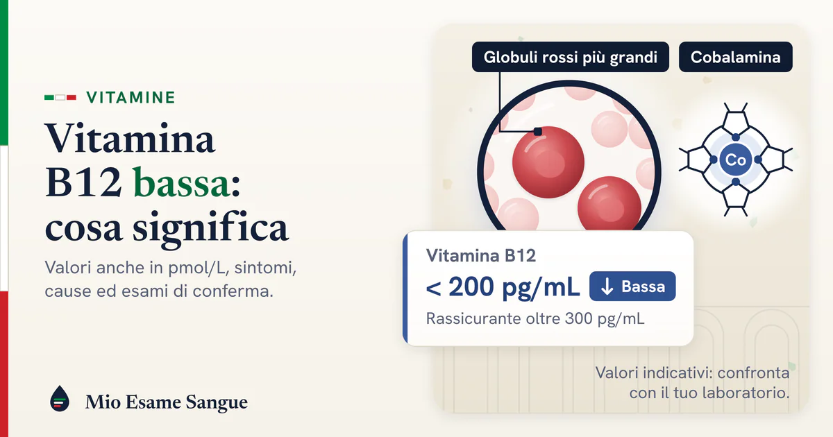 Vitamina B12 bassa: valori, sintomi e anemia macrocitica Lente su globuli rossi ingranditi, molecola di cobalamina con il cobalto al centro e scheda della B12 sotto 200 pg/mL, bassa