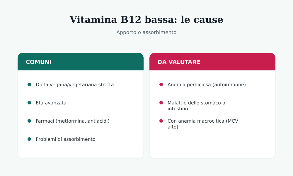 Cause della vitamina B12 bassa: dieta vegana, età, farmaci, malassorbimento, anemia perniciosa