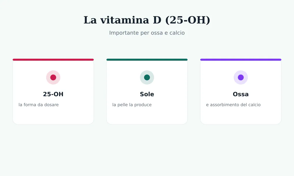 Schema della vitamina D: la pelle la produce con il sole, serve a ossa e calcio